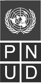 PNUD-LOGO-negro-removebg-preview